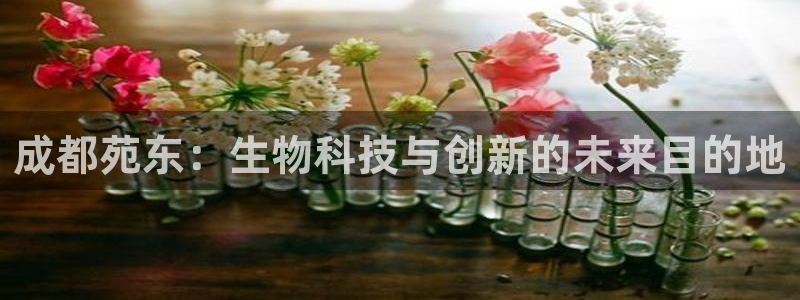 九游会老哥：成都苑东：生物科技与创新的未来目的地