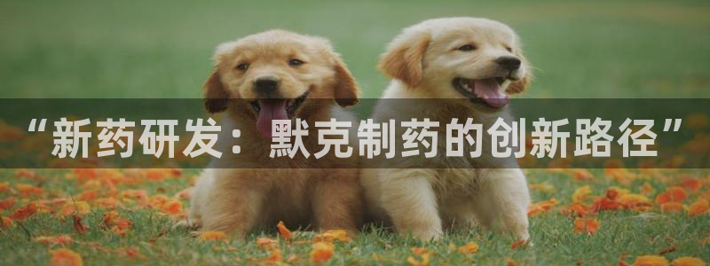 九游会老哥俱乐部社区论坛