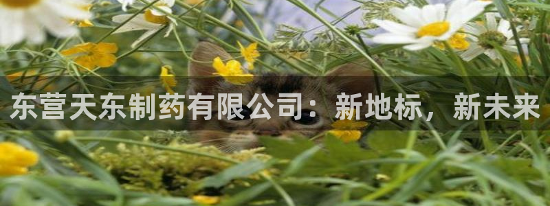 九游老哥俱乐部登录：东营天东制药有限公司：新地标，新未来