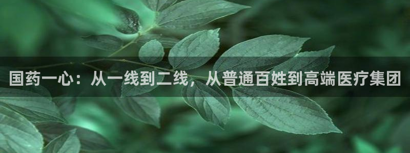 九游会老哥俱乐部官方网站：国药一心：从一线到二线，从普通百姓到高端医疗集团