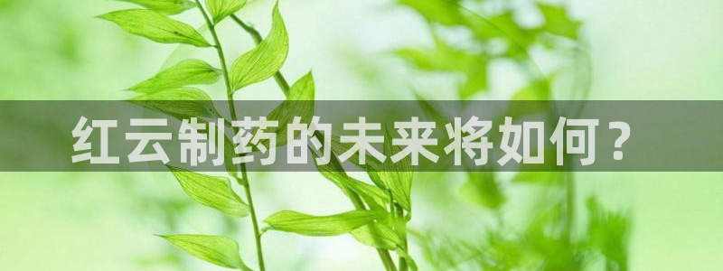 九游老哥俱乐部登录：红云制药的未来将如何？