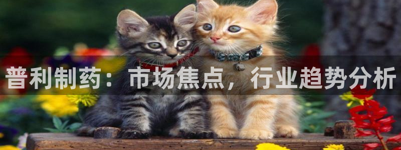 九游会老哥俱乐部论坛版：普利制药：市场焦点，行业趋势分析