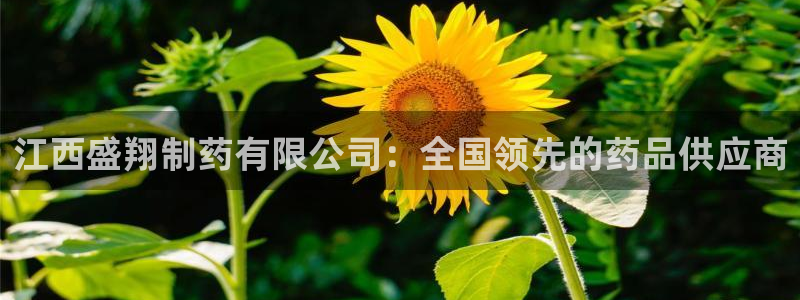 9游会老哥：江西盛翔制药有限公司：全国领先的药品供应商