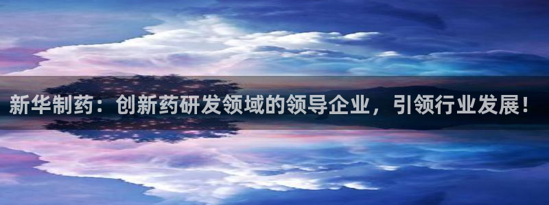 九游老哥俱乐部官网登录：新华制药：创新药研发领域的领导企业，引领行业发展！