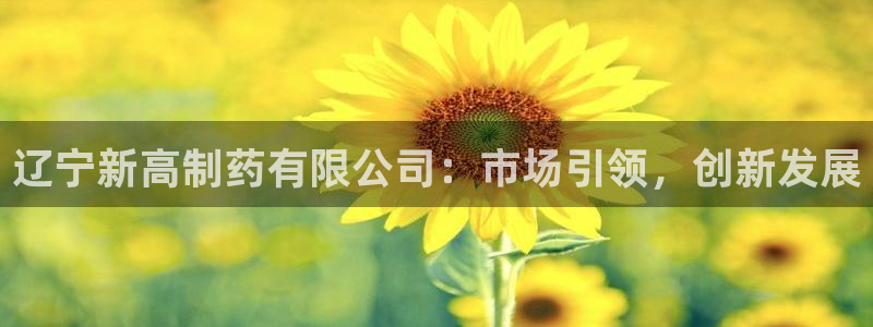 九游会老哥俱乐部交流社区：辽宁新高制药有限公司：市场引领，创新发展