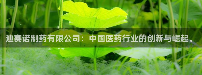 九游会老哥俱乐部：迪赛诺制药有限公司：中国医药行业的创新与崛起。