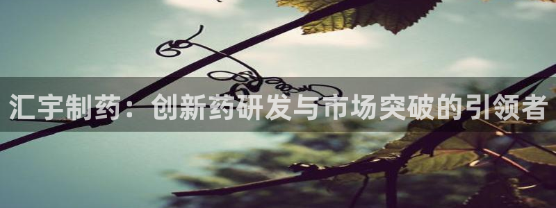 j9九游会老哥俱乐部交流区：汇宇制药：创新药研发与市场突破的引领者