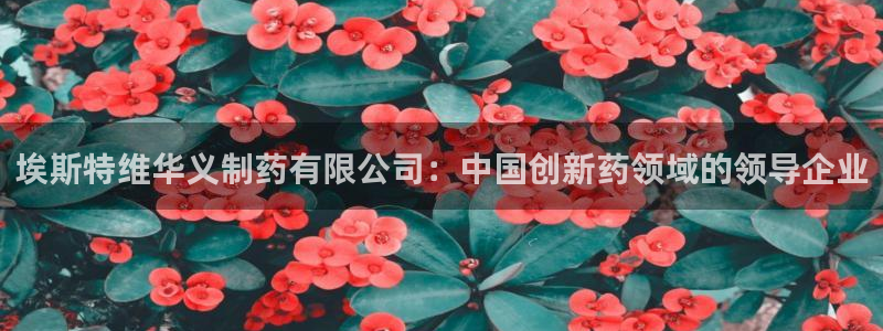 老哥吧九游会下架吗：埃斯特维华义制药有限公司：中国创新药领域的领导企业