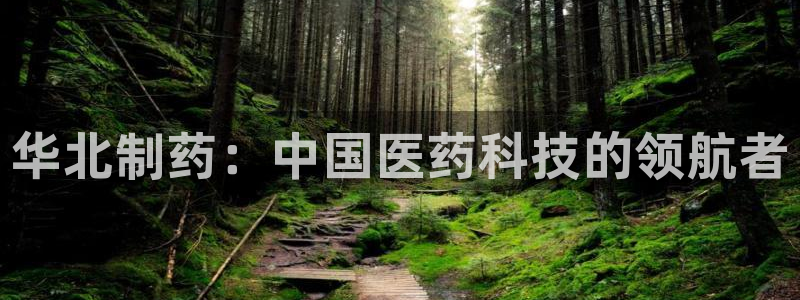 9游会老哥：华北制药：中国医药科技的领航者