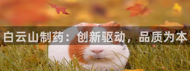 九游会老哥俱乐部官网首页：白云山制药：创新驱动，品质为本