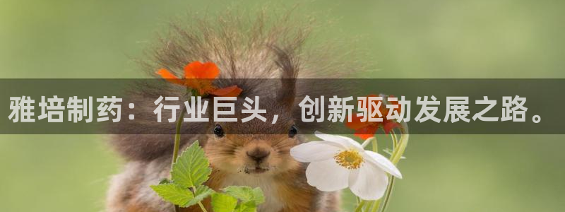 九游会老哥俱乐部社区论坛：雅培制药：行业巨头，创新驱动发展之路。