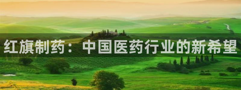 9游会老哥：红旗制药：中国医药行业的新希望