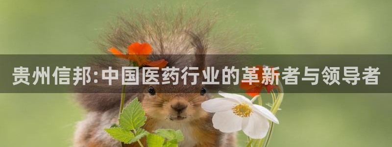 九游会老哥必备的交流社区：贵州信邦:中国医药行业的革新者与领导者