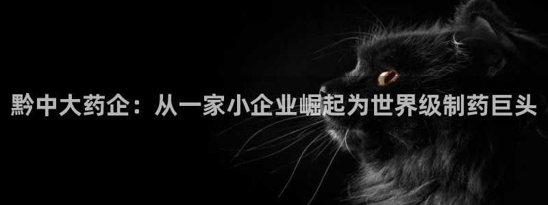 九游会老哥俱乐部官网：黔中大药企：从一家小企业崛起为世界级制药巨头