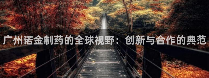九游老哥俱乐部官网登录不了：广州诺金制药的全球视野：创新与合作的典范