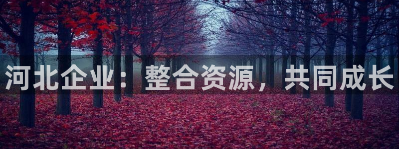 九游会老哥俱乐部必备的交流社区：河北企业：整合资源，共同成长