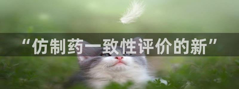 九游会老哥：“仿制药一致性评价的新”