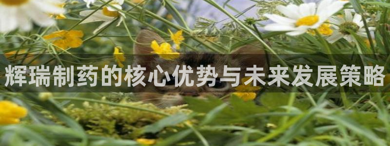 ag九游老哥俱乐部：辉瑞制药的核心优势与未来发展策略