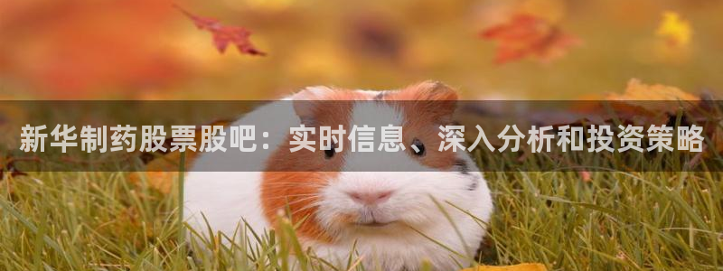 九游老哥俱乐部官网登录入口：新华制药股票股吧：实时信息、深入分析和投资策略