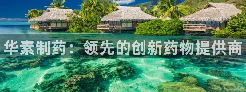 九游会老哥俱乐部交流社区：华素制药：领先的创新药物提供商