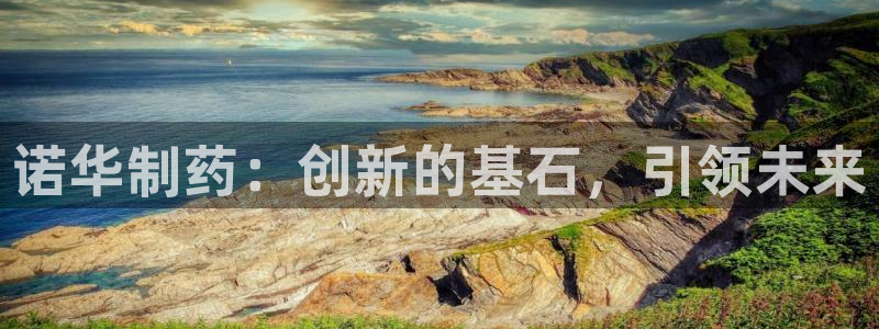 ag九游会老哥：诺华制药：创新的基石，引领未来