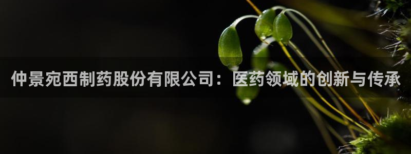 9游会老哥：仲景宛西制药股份有限公司：医药领域的创新与传承