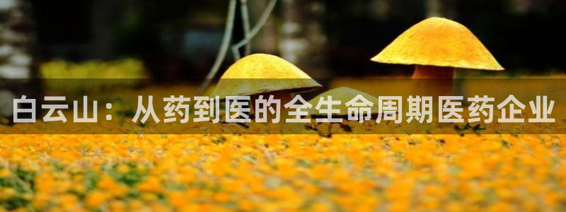 9游会老哥：白云山：从药到医的全生命周期医药企业