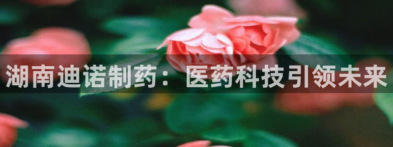 老哥俱乐部是干什么的啊：湖南迪诺制药：医药科技引领未来