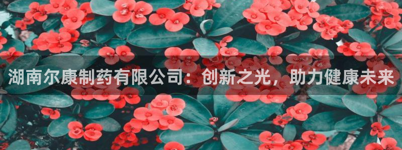 老哥吧九游会：湖南尔康制药有限公司：创新之光，助力健康未来