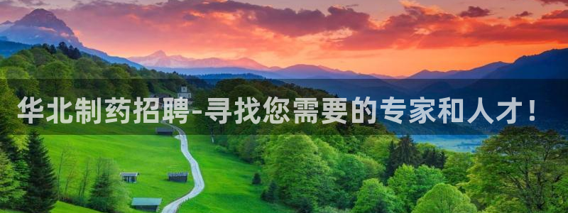 老哥吧九游会：华北制药招聘-寻找您需要的专家和人才！