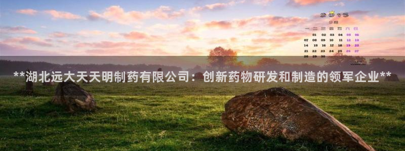 九游会老哥俱乐部社区论坛：**湖北远大天天明制药有限公司：创新药物研发和制造的领军企业**