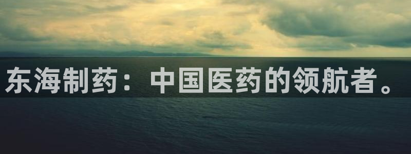 ag九游会老哥：东海制药：中国医药的领航者。