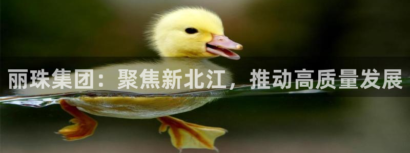 九游会老哥必备的交流社区九：丽珠集团：聚焦新北江，推动高质量发展