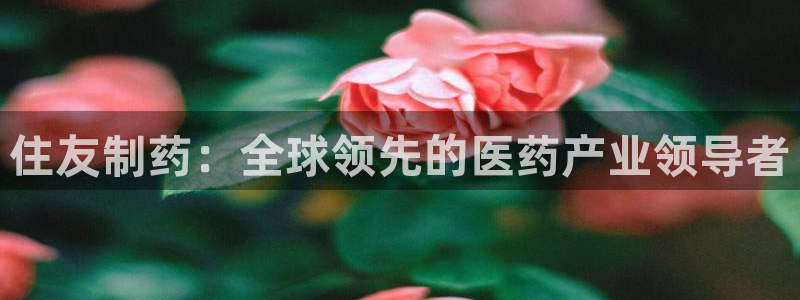 九游老哥俱乐部登录：住友制药：全球领先的医药产业领导者