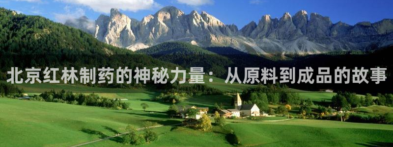 九游会老哥俱乐部社区论坛：北京红林制药的神秘力量：从原料到成品的故事