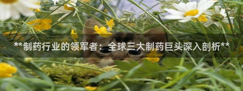 ag九游会老哥俱乐部